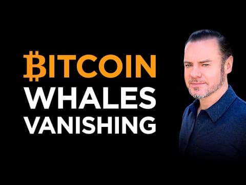 🐋 The Great Whale Vanishing: Bitcoin's Dramatic Wealth Redistribution