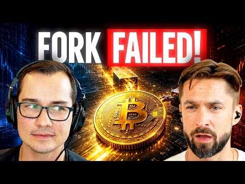 🪙 Bitcoin's Failed Fork, Sailor's Sell Pressure & The Great Memecoin Persistence