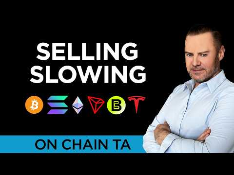 🔥 The Bear That Never Bottomed: Why OGs Stopped Selling & What It Means